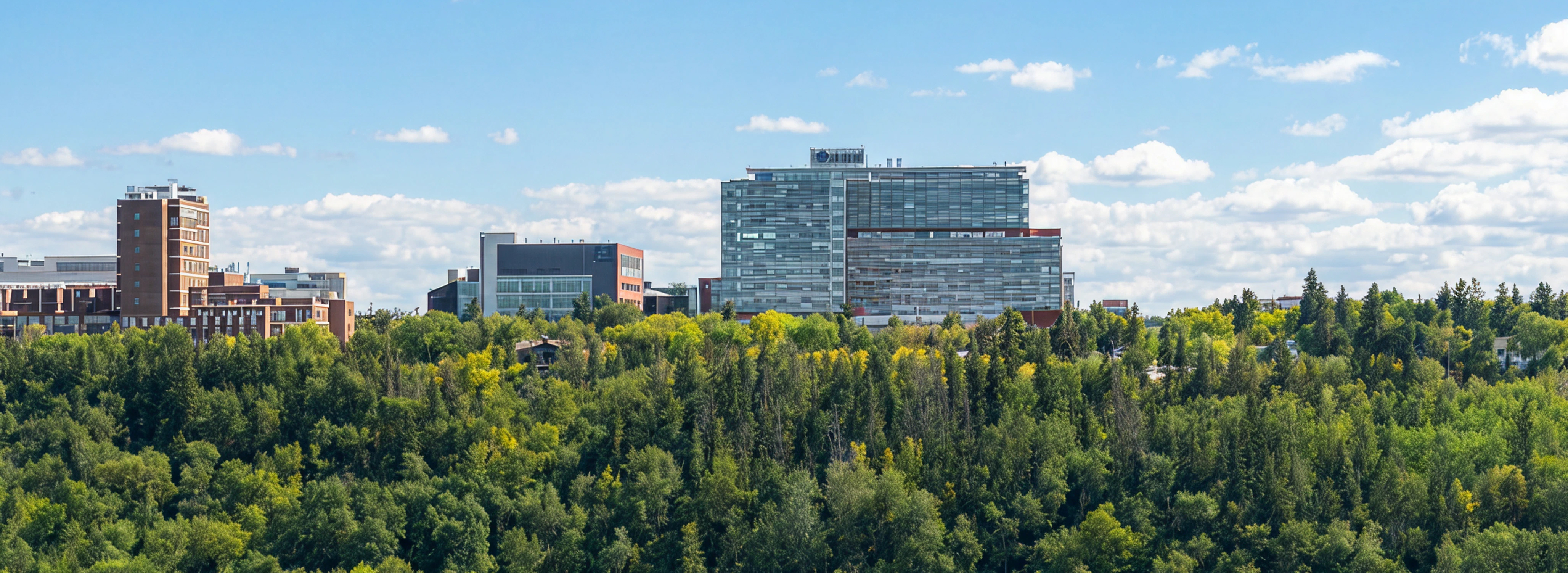 University of Alberta skyline
